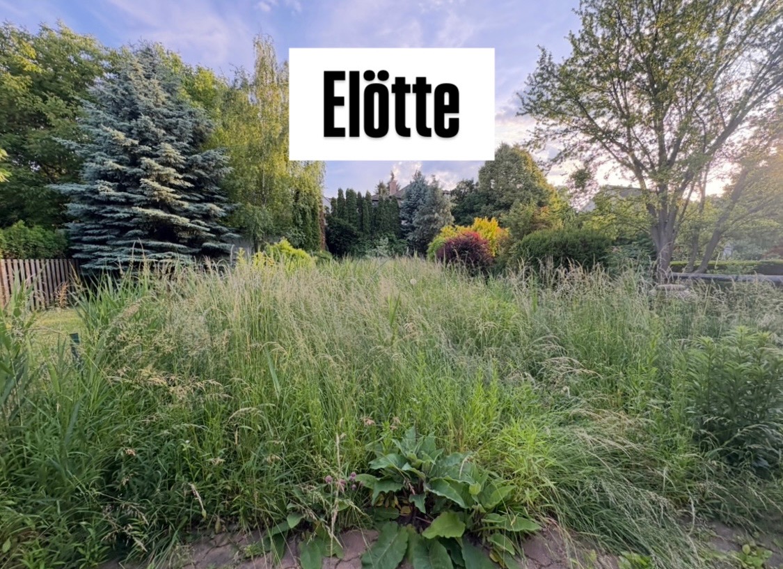 Előtte – kertészeti munka